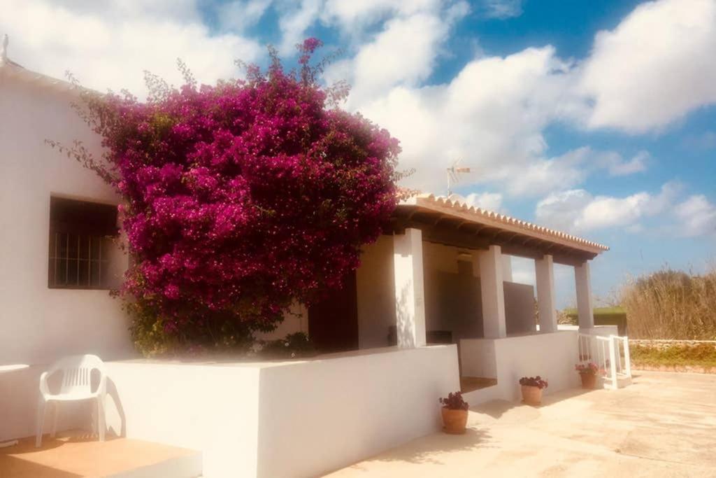 Casa Rural Es Cap De Barbaria San Francisco Javier Luaran gambar